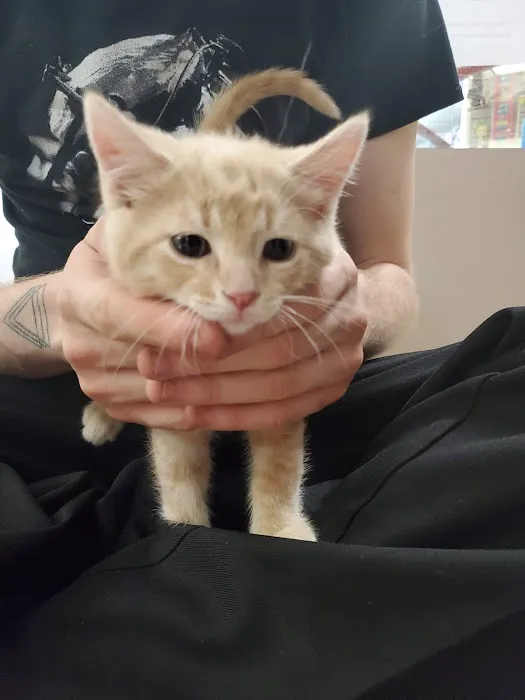Petland Merrillville Picture 6