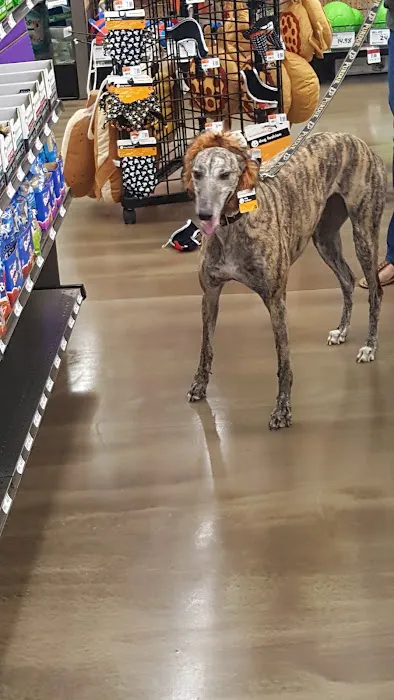 Pet Supplies Plus Crown Point Picture 10