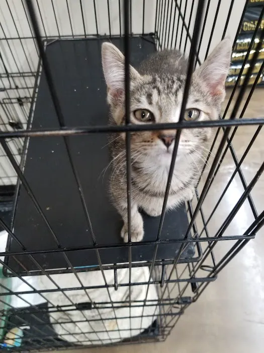 Pet Supplies Plus Crown Point Picture 8
