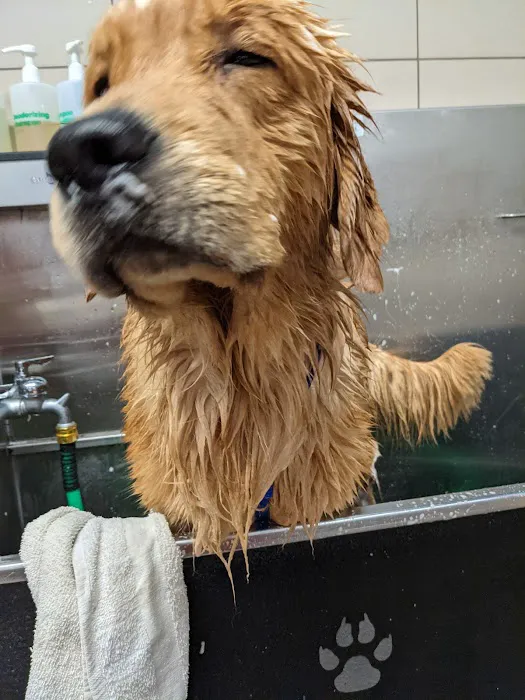 Pet Supplies Plus Crown Point Picture 6