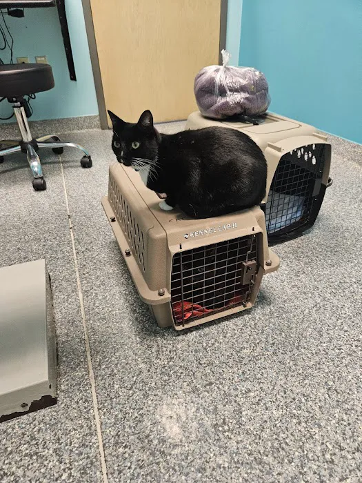 Wooflands Veterinary Center Picture 9