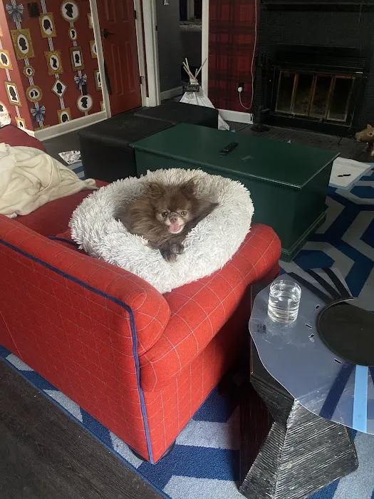 Wooflands Veterinary Center Picture 3