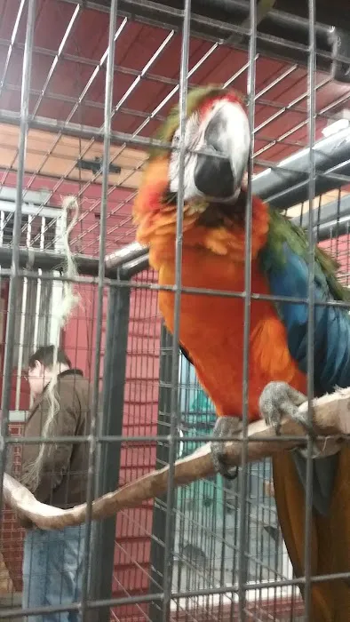 Wooflands Veterinary Center Picture 2