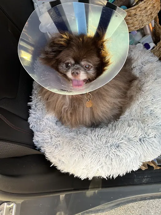 Wooflands Veterinary Center Picture 1