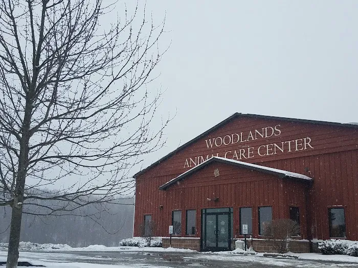 Wooflands Veterinary Center Picture 10