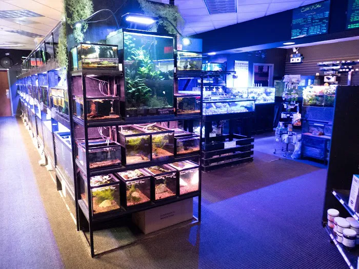 The Local Fish Store Picture 8