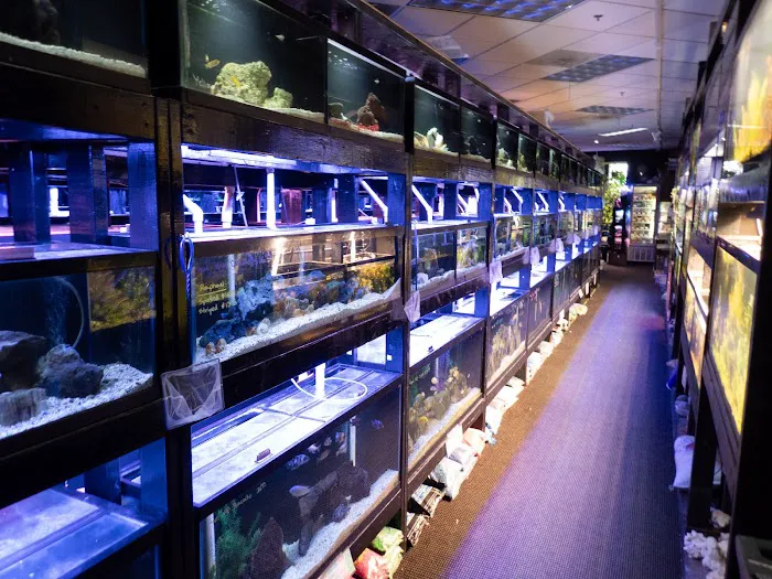 The Local Fish Store Picture 7