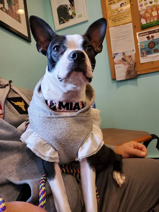 Brentwood-Islip Hospital for Animals Picture 3
