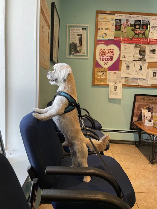 Brentwood-Islip Hospital for Animals Picture 2