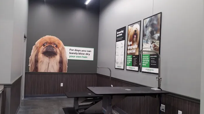 Pet Supplies Plus Evanston Picture 6