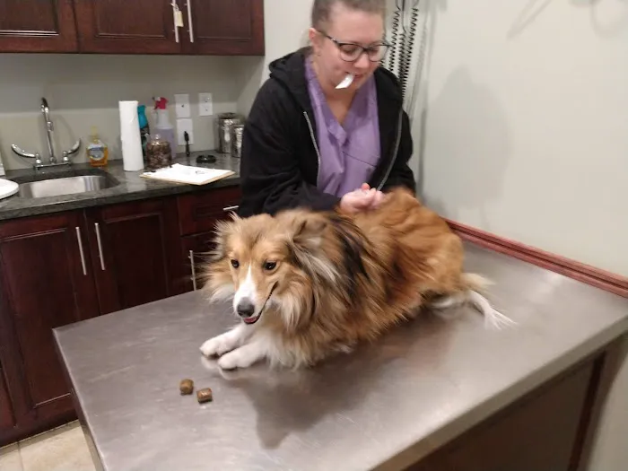 Towne Line Veterinary Group Picture 3