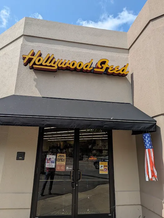 Hollywood Feed Picture 5