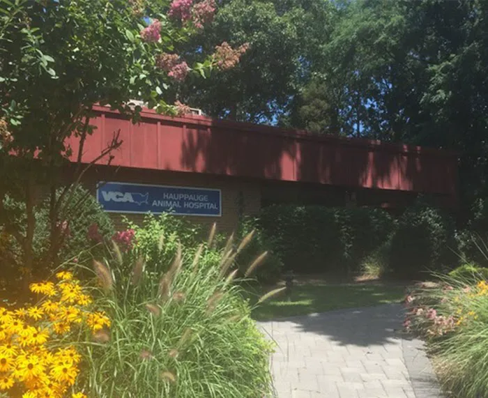 Hauppauge Animal Hospital Picture 9
