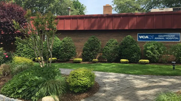 Hauppauge Animal Hospital Picture 2