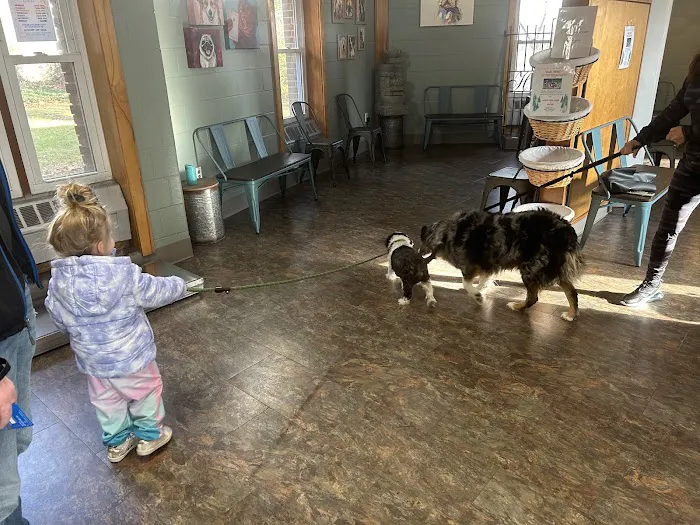 Hauppauge Animal Hospital Picture 8