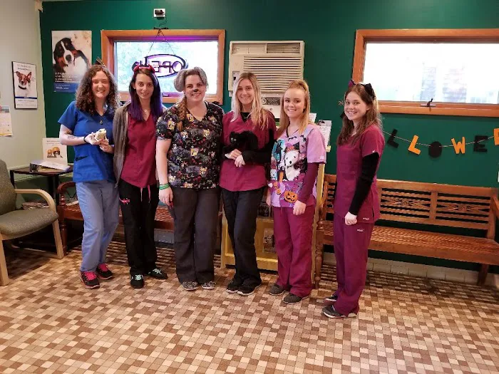 St James Animal Hospital Picture 4