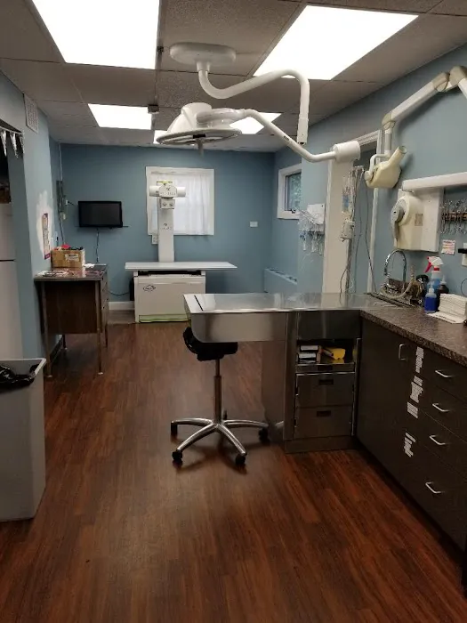St James Animal Hospital Picture 3