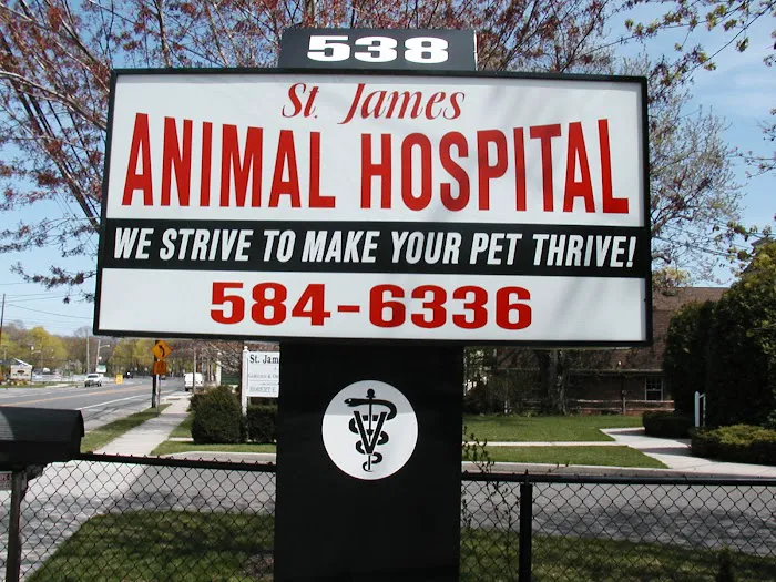 St James Animal Hospital Picture 9