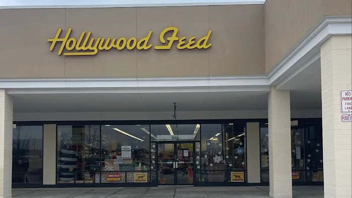 Hollywood Feed Picture 1