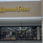 Hollywood Feed