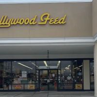 Hollywood Feed ico