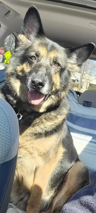 Animal Hospital of Nesconset Dr. Mary Leister Picture 4