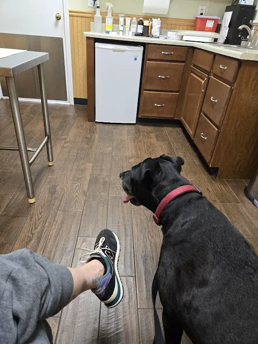 Smithaven Veterinary Hospital Picture 6
