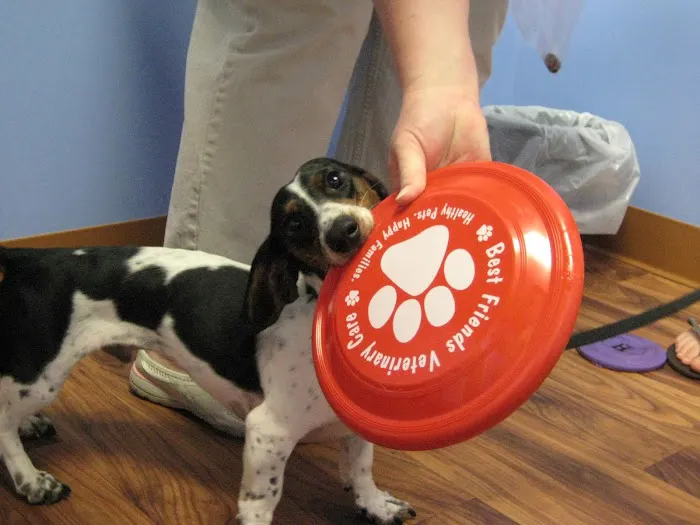 Best Friends Veterinary Care Picture 2