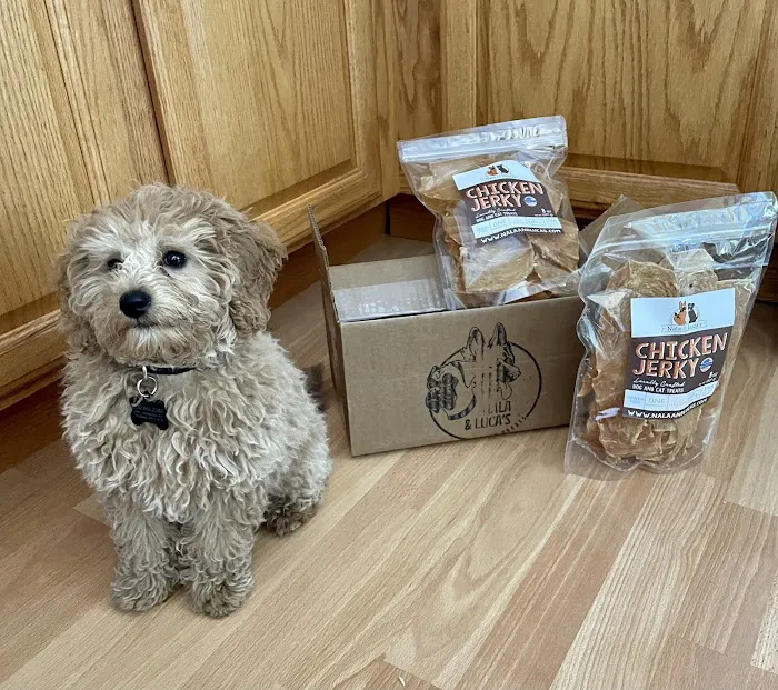 Nala and Lucas Chicken Jerky Picture 3