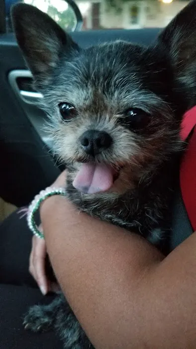 Islandia Animal Hospital Picture 4