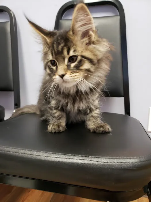 Islandia Animal Hospital Picture 3