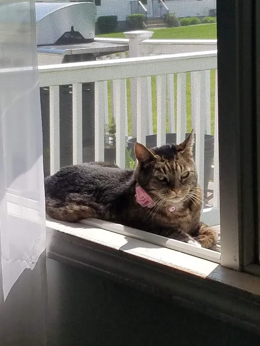 Islandia Animal Hospital Picture 1