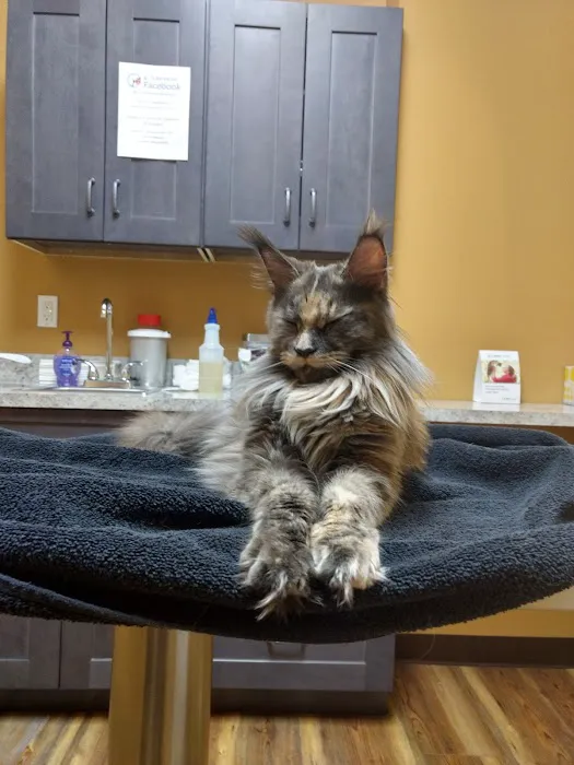 Islandia Animal Hospital Picture 2
