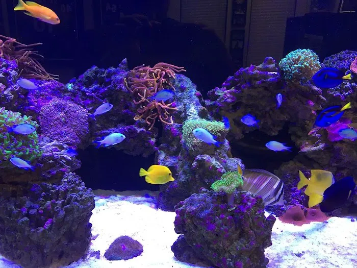 Aquatic Solutions Inc. Picture 9