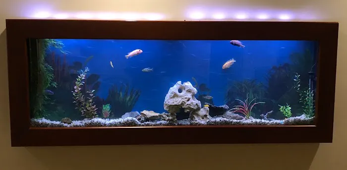 Aquatic Solutions Inc. Picture 7