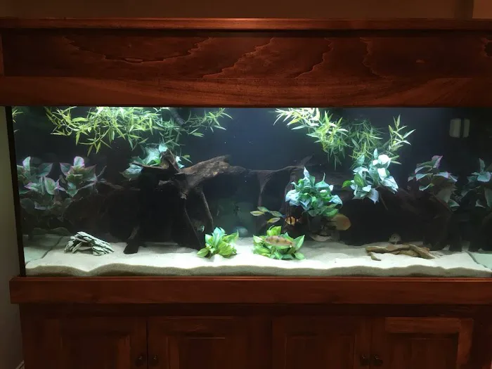 Aquatic Solutions Inc. Picture 1