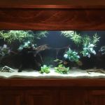Aquatic Solutions Inc.