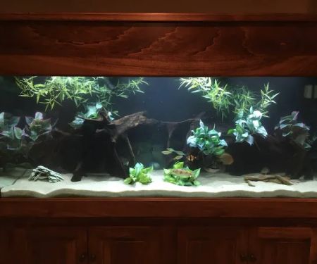 Aquatic Solutions Inc.