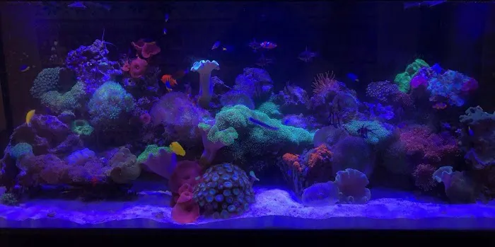 Aquatic Solutions Inc. Picture 5