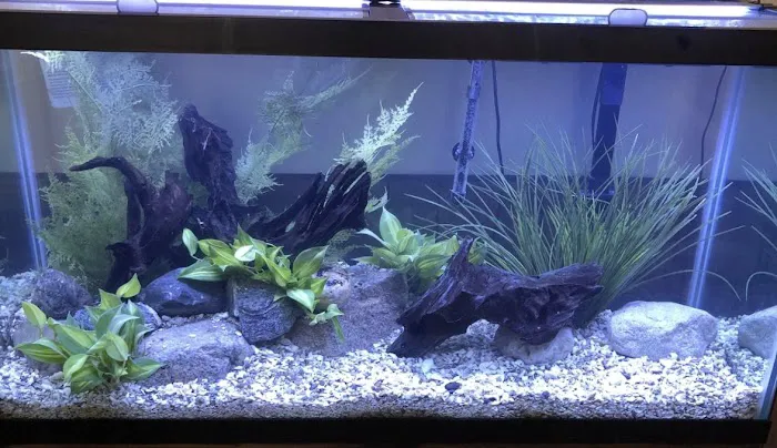 Aquatic Solutions Inc. Picture 8