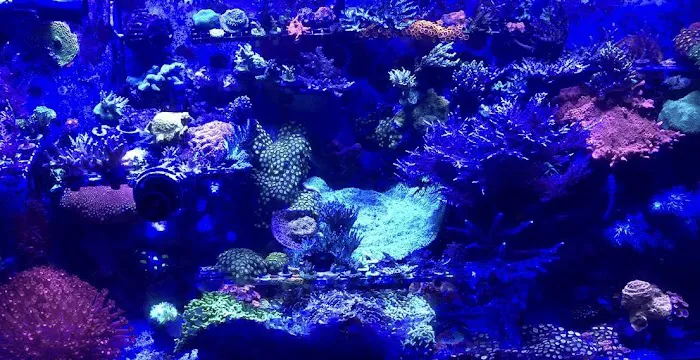 Aquatic Solutions Inc. Picture 4