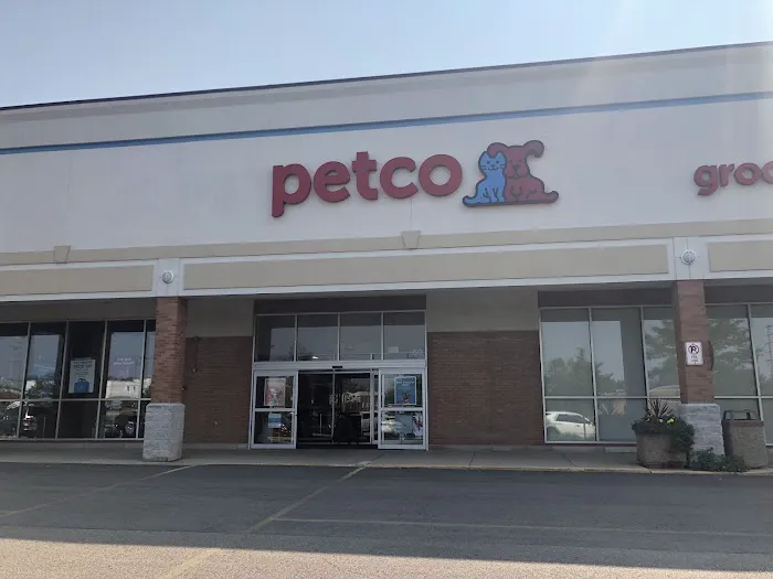 Petco Picture 4