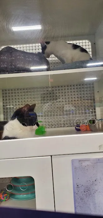 Petco Picture 2