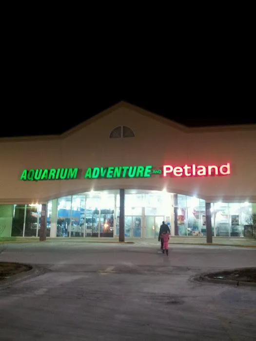 Aquarium Adventure Picture 5