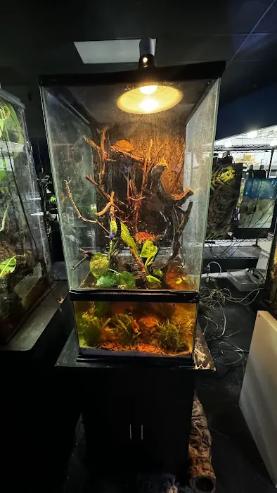 Aquarium Adventure Picture 7