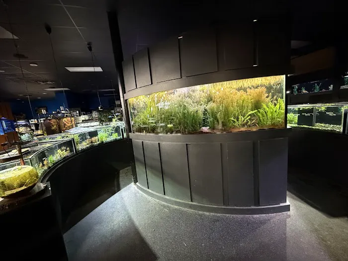 Aquarium Adventure Picture 6