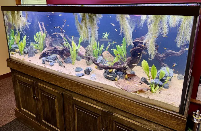 Aquarium Adventure Picture 10