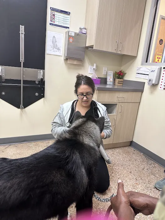 Vetco Total Care Animal Hospital Picture 6