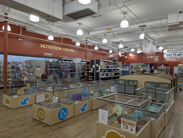 Petland Hoffman Estates Picture 3