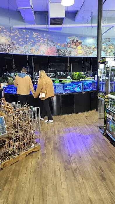Petland Hoffman Estates Picture 7